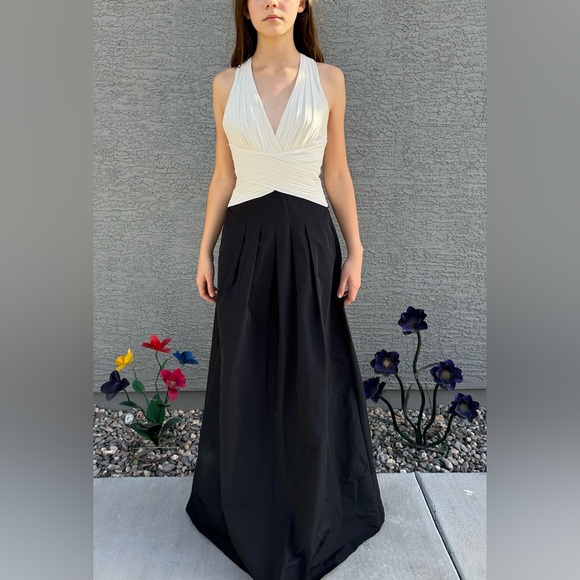 NWT BCBGMaxAzria Gardenia Halter Neck Gown Pleated Cream Crepe & Black Taffeta - Picture 4 of 13
